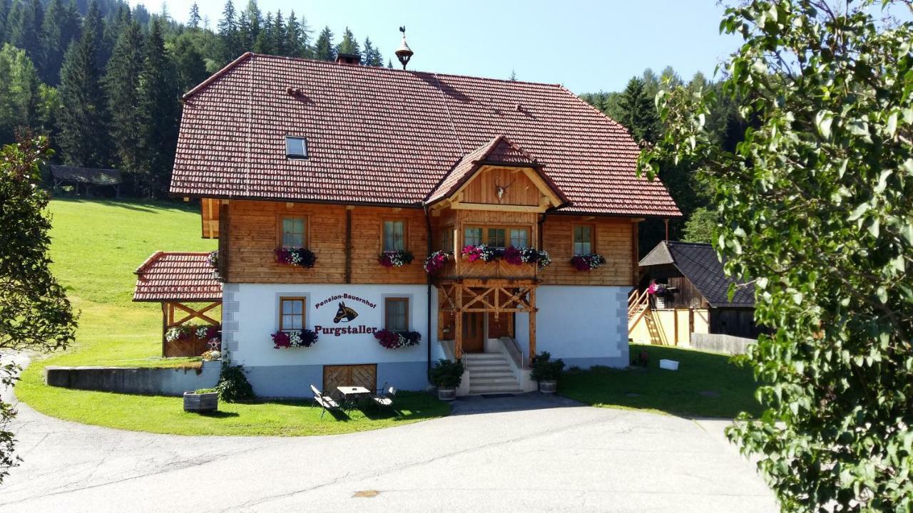 Pension - Bauernhof Sankt Lorenzen ob Murau Luaran gambar
